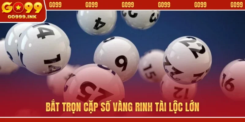 Kinh Nghiệm Chơi Lô Đề GO99 - Cược Thủ Tự Tin Hốt Bạc 2 Bắt trọn cặp số vàng rinh tài lộc lớn
