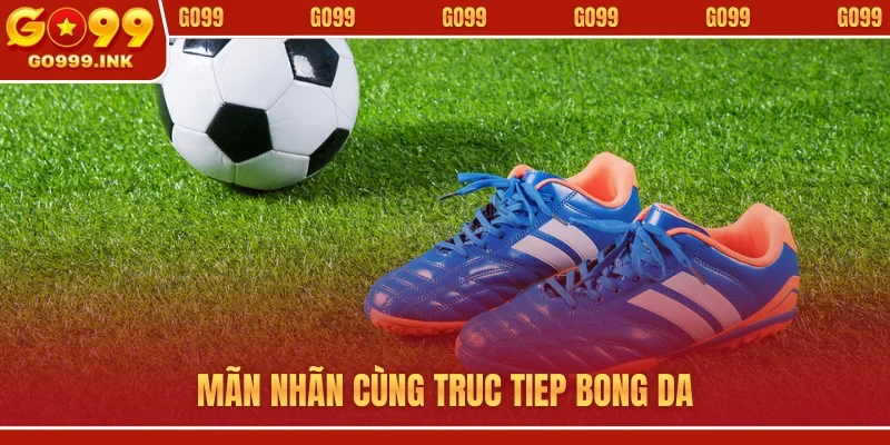Truc Tiep Bong Da GO99 - Bùng Nổ Cùng Giải Đấu Hàng Đầu 1 Mãn nhãn cùng truc tiep bong da